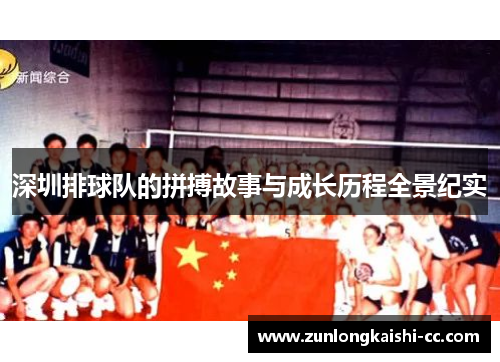 深圳排球队的拼搏故事与成长历程全景纪实